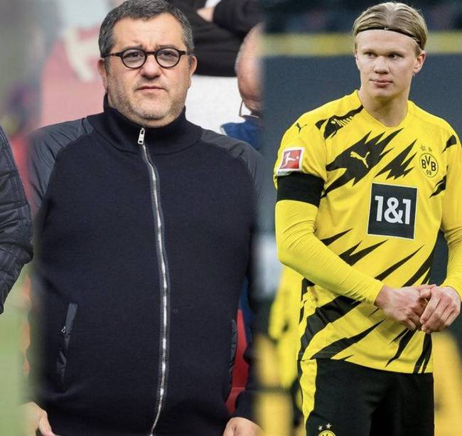 技术与稳健 技术与稳健